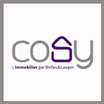 immocosy.be